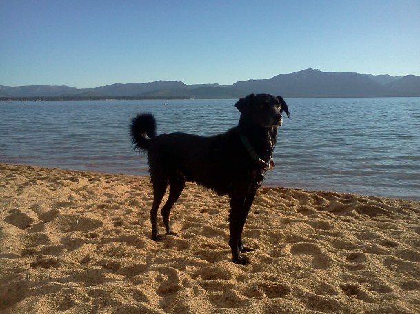 Slick was my running buddy today!