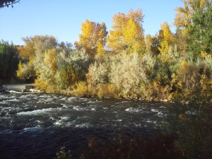 How did I manage to go to Iddlewild in the middle of all the craziness?