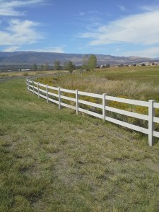 Beautiful Day for Walking